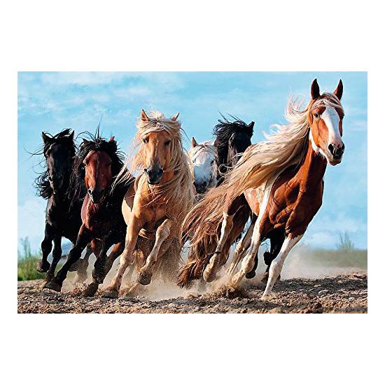Puzzle Trefl Chevaux au galop 1000 pièces