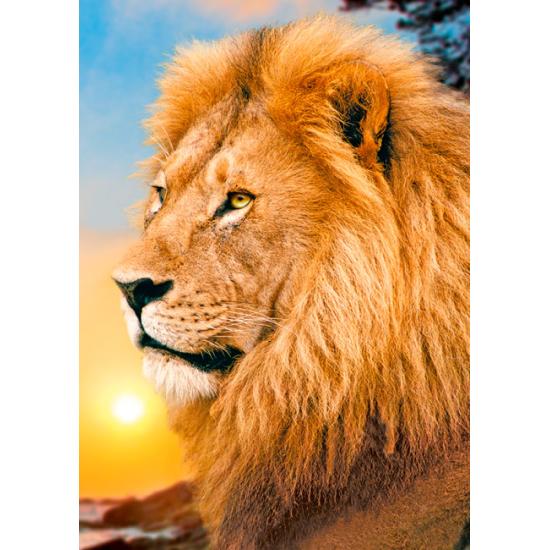 Puzzle Trefl Tête de Lion 500 pièces