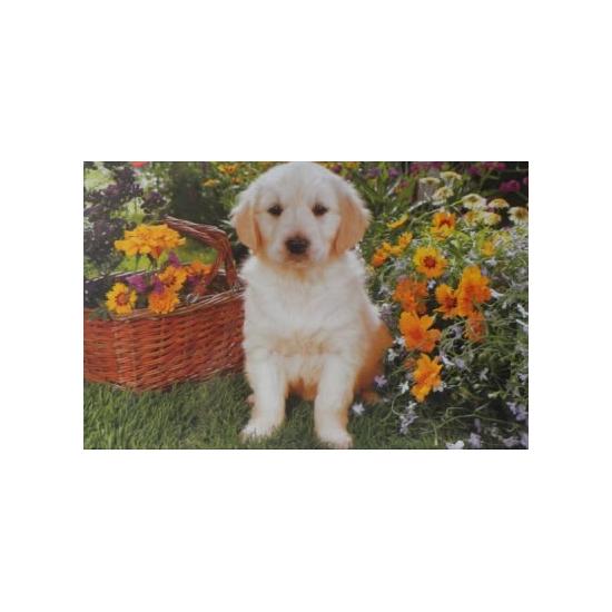 Puzzle Trefl Chiot Labrador dans le jardin 500 pièces