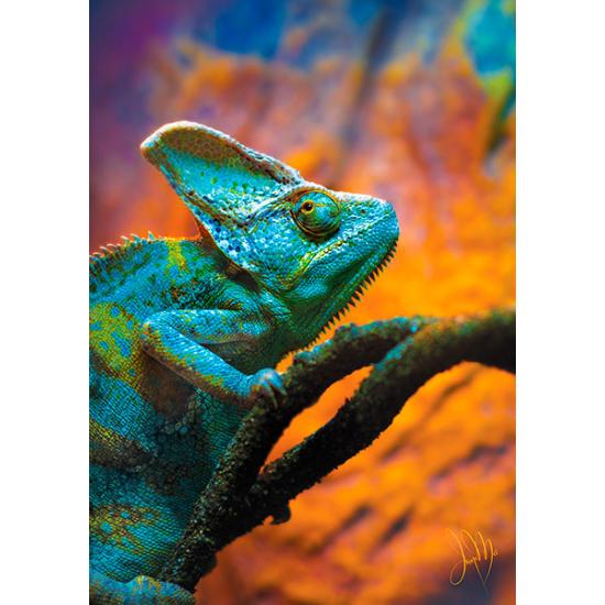 Puzzle Trefl Caméléon 1000 pièces