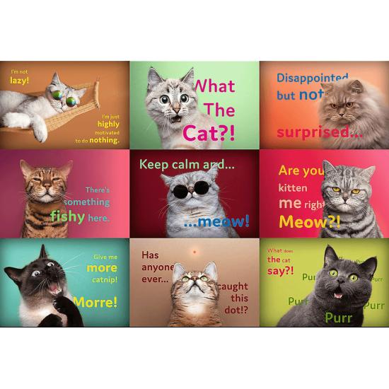 Puzzle Trefl Visages De Chats Drôles 1500 pièces Puzzle Trefl Visages De Chats Drôles 1500 pièces