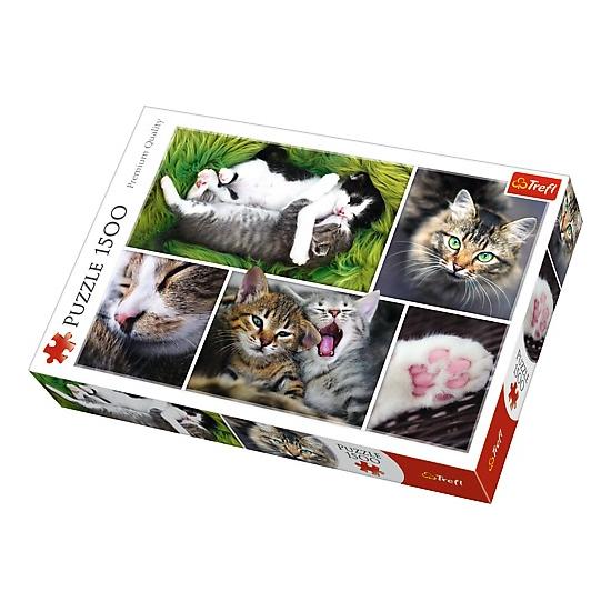 Trefl Puzzle Cat Things 1500 pièces