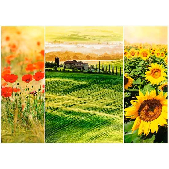 Puzzle Trefl Le Soleil de Toscane 1000 pièces