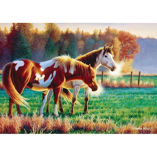 Puzzle Trefl Cold Morning in the Meadow 1000 pièces