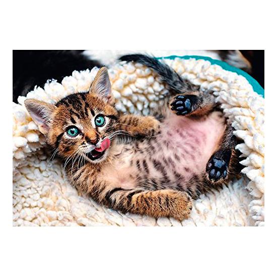 Puzzle Trefl Cheerful Kitten 1000 pièces