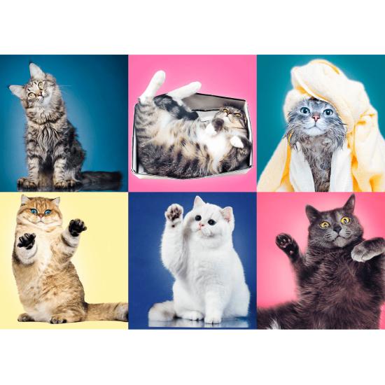 Puzzle Trefl Chatons 500 pièces