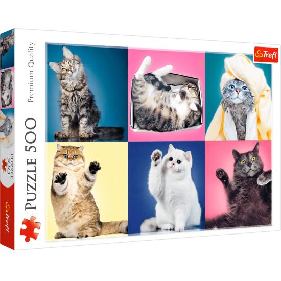 Puzzle Trefl Chatons 500 pièces