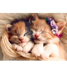 Puzzle Trefl Chatons endormis 500 pièces