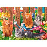 Puzzle Trefl Chatons dans le jardin 500 pièces