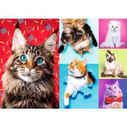 Puzzle Trefl Happy Cats 1000 pièces