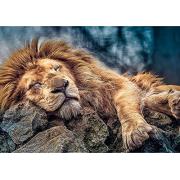 Puzzle Trefl Lion endormi 1000 pièces