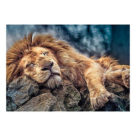 Puzzle Trefl Lion endormi 1000 pièces Puzzle Trefl Lion endormi 1000 pièces