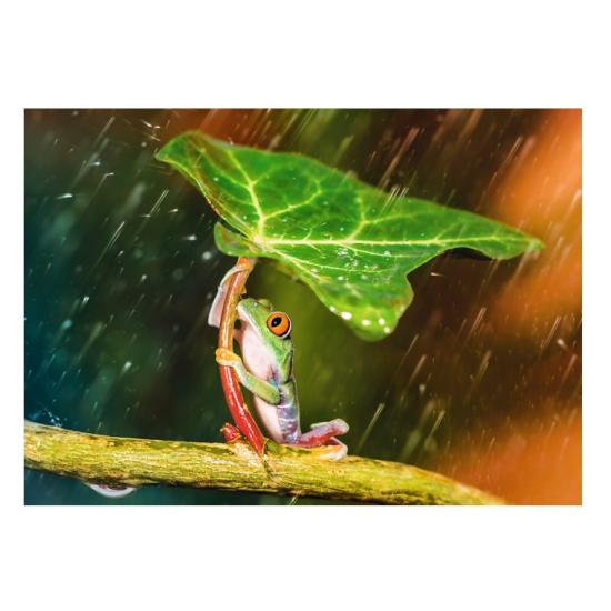 Puzzle Trefl Parapluie Vert 500 Pièces Puzzle Trefl Parapluie Vert 500 Pièces
