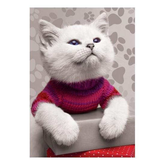 Puzzle Trefl Pelusin, le chaton 500 pièces