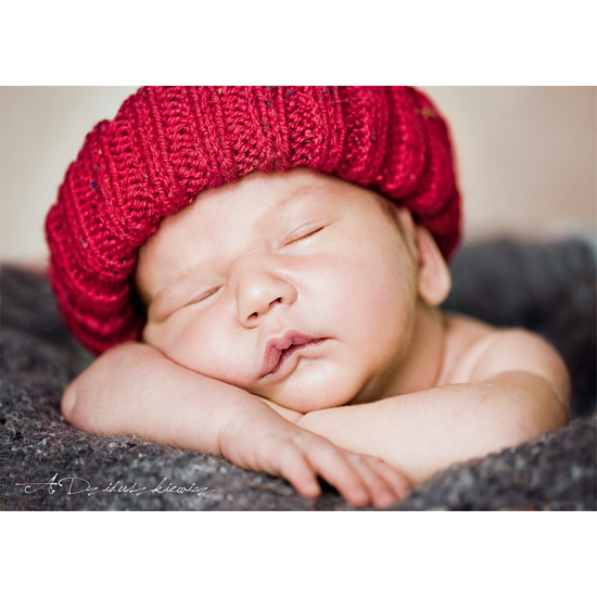 Puzzle Trefl Petite sieste 500 pièces