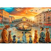 Puzzle Trefl Chiens À Venise 1000 pièces