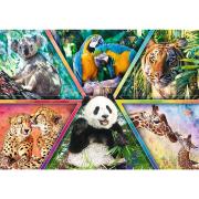 Puzzle Trefl Animal Kingdom 1000 pièces