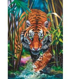 Puzzle Trefl Tigre parmi les graminées 1000 pièces